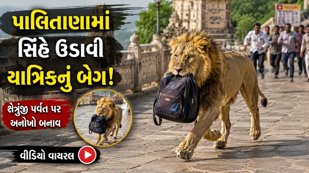 lion bag incident palitana shetrunjay