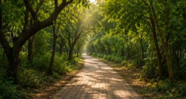 Victoria Park Bhavnagar